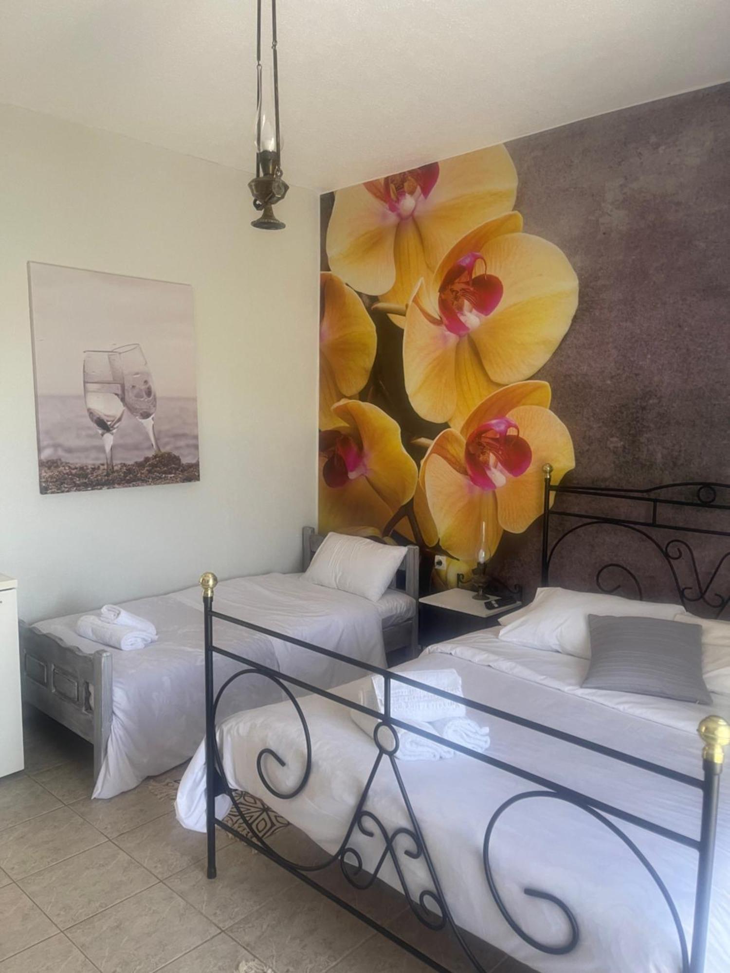 مبيت وإفطار Néon Oítilon Lithos By The Sea المظهر الخارجي الصورة